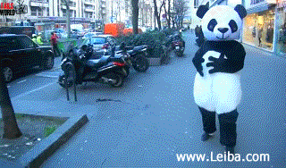 搞笑动态图为什么看见熊猫就摔跤