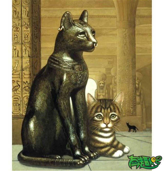 在古代埃及，如果某人的猫死了他会刮掉眉毛以示哀悼。 - 冷知识,搞笑图片,幽默笑话,搞笑段子,爆笑图片