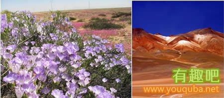 世界上10大迷人沙漠：撒哈拉最大