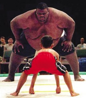 2013年10月美国相扑运动员曼尼·亚伯勒的体重达到了惊人的326公斤(652斤)。吉尼斯世界纪录认证他为世界上最重的相扑运动员，这也是吉尼斯有记录以来最重的运动员。
