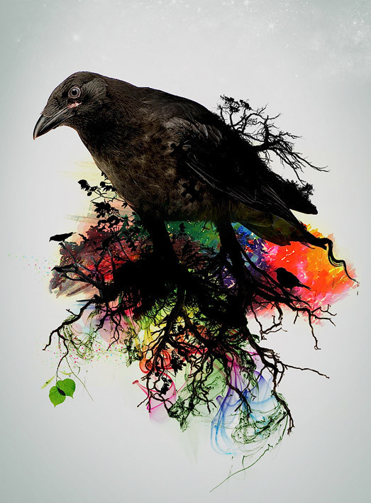 ink bird by hangloose