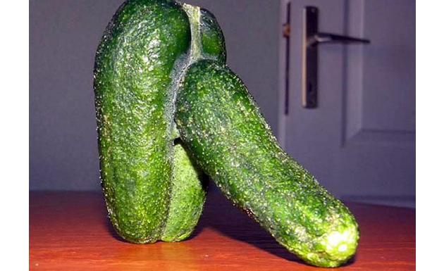 amusingly phallic cucumber