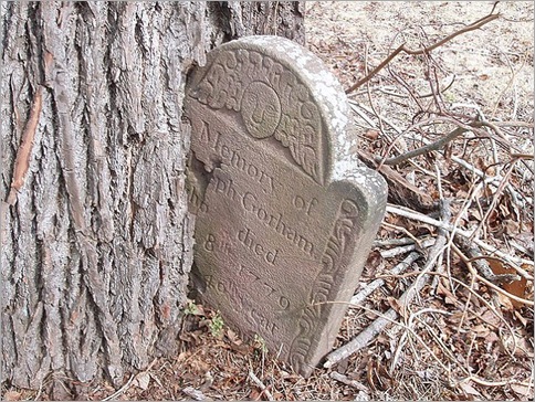 这座18世纪的墓碑已经成为这个贪婪的树的树干的一部分