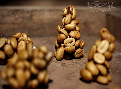 世界上最贵的咖啡豆