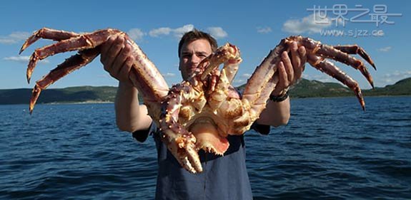 世界上最重的螃蟹