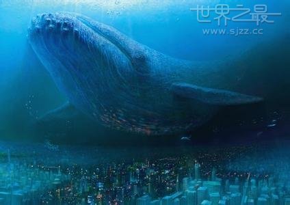 最大的鲸鱼 世界上最大的鲸鱼