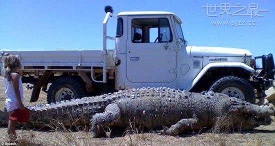 世界上最大的鳄鱼：6.7米长