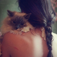 抱着猫的QQ女生头像，喜爱猫咪的可爱女生头像图片