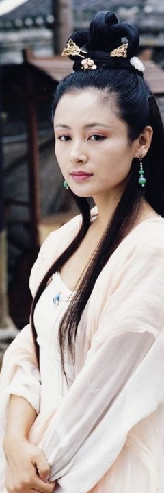 古典美女QQ皮肤图片 温文尔雅的古典美人你爱吗？