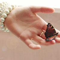 那些与蝴蝶有关的唯美头像 蝴蝶控最爱