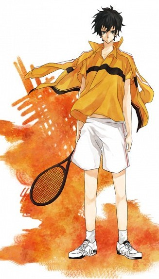 网球王子QQ皮肤 网球王子QQ透明皮肤图片