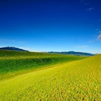 清新的大草原QQ头像 草原一直是我想要旅行的地方