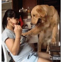 一个女人和狗动态图片