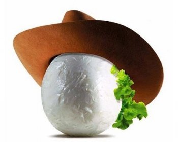 戴帽子的植物，有创意的水果蔬菜